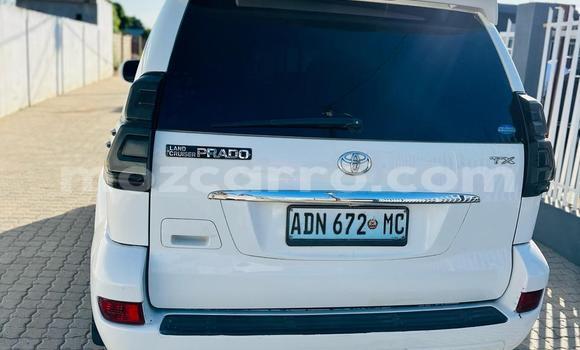 Tenga Tsaru Toyota Land Cruiser Prado Chena Mota in Maputo in Maputo Tenga Tsaru Toyota Land Cruiser Prado Chena Mota in Maputo in Maputo