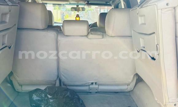 Tenga Tsaru Toyota Land Cruiser Prado Chena Mota in Maputo in Maputo Tenga Tsaru Toyota Land Cruiser Prado Chena Mota in Maputo in Maputo