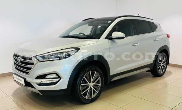 Tenga Tsaru Hyundai Tucson Sirivha Mota in Maputo in Maputo Tenga Tsaru Hyundai Tucson Sirivha Mota in Maputo in Maputo