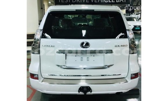 Comprar Importar Lexus GX Branco Carro em Import - Dubai em Cabo Delgado Comprar Importar Lexus GX Branco Carro em Import - Dubai em Cabo Delgado