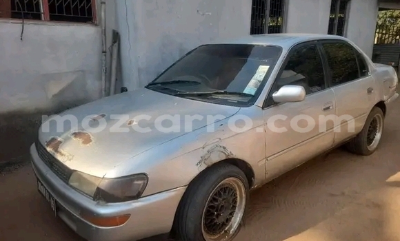 Buy Used Toyota Corolla Other Car in Boane in Maputo Buy Used Toyota Corolla Other Car in Boane in Maputo