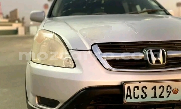 Buy Used Honda CR-V White Car in Panda in Inhambane Buy Used Honda CR-V White Car in Panda in Inhambane