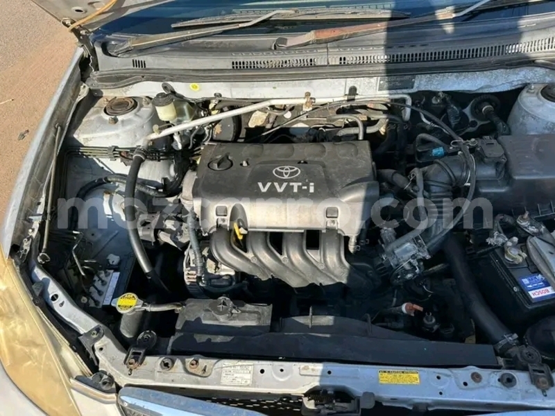 Big with watermark toyota runx sofala caia 39125