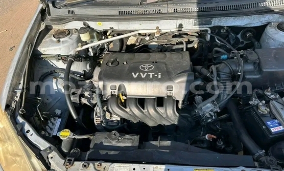 Buy Used Toyota Runx Other Car in Caia in Sofala