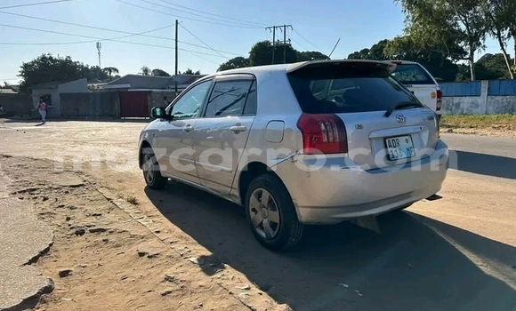 Buy Used Toyota Runx Other Car in Caia in Sofala Buy Used Toyota Runx Other Car in Caia in Sofala