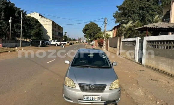 Buy Used Toyota Runx Other Car in Caia in Sofala Buy Used Toyota Runx Other Car in Caia in Sofala