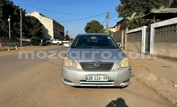 Buy Used Toyota Runx Other Car in Caia in Sofala Buy Used Toyota Runx Other Car in Caia in Sofala