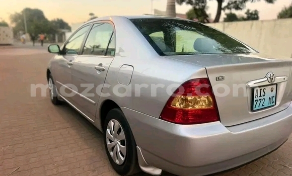 Buy Used Toyota Corolla Other Car in Chifunde in Tete Buy Used Toyota Corolla Other Car in Chifunde in Tete