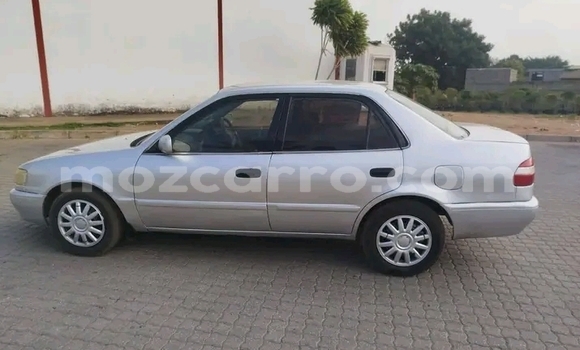 Buy Used Toyota Corolla White Car in Chidenguele in Gaza Buy Used Toyota Corolla White Car in Chidenguele in Gaza