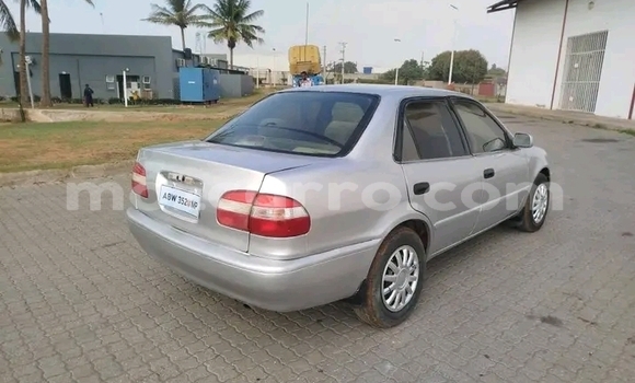 Buy Used Toyota Corolla White Car in Chidenguele in Gaza Buy Used Toyota Corolla White Car in Chidenguele in Gaza