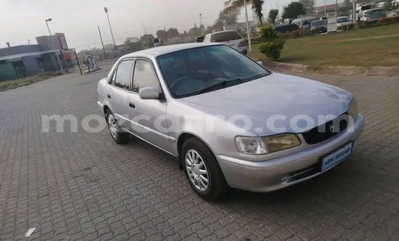 Buy Used Toyota Corolla White Car in Chidenguele in Gaza Buy Used Toyota Corolla White Car in Chidenguele in Gaza
