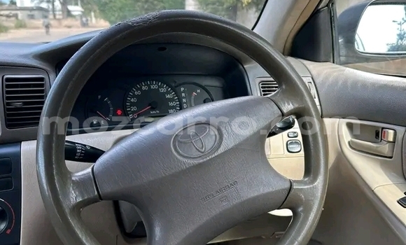 Comprar Usado Toyota Corolla Other Carro em Chongoene em Gaza