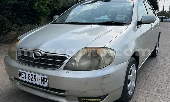 Buy Used Toyota Corolla Other Car in Chongoene in Gaza Buy Used Toyota Corolla Other Car in Chongoene in Gaza