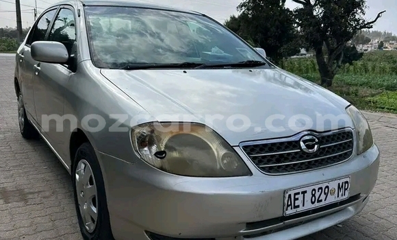 Buy Used Toyota Corolla Other Car in Chongoene in Gaza Buy Used Toyota Corolla Other Car in Chongoene in Gaza