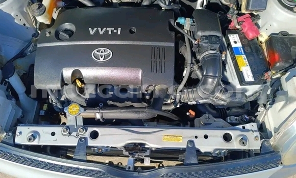 Tenga Tsaru Toyota Sienna Other Mota in Búzi in Sofala Tenga Tsaru Toyota Sienna Other Mota in Búzi in Sofala