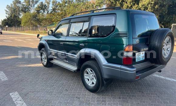 Tenga Tsaru Toyota Prado Nhema Mota in Beira in Sofala Tenga Tsaru Toyota Prado Nhema Mota in Beira in Sofala