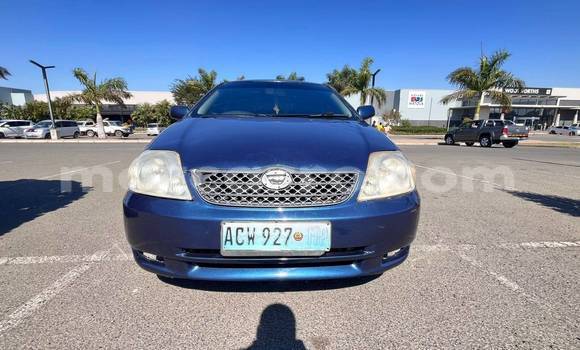 Buy Used Toyota Runx Blue Car in Beira in Sofala