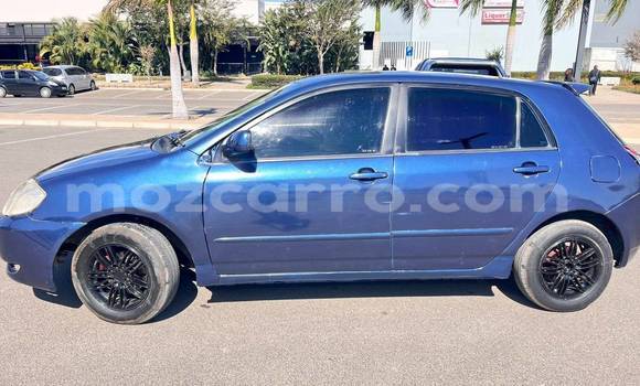 Comprar Usado Toyota Runx Azul Carro em Beira em Sofala Comprar Usado Toyota Runx Azul Carro em Beira em Sofala