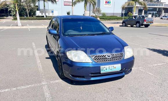 Comprar Usado Toyota Runx Azul Carro em Beira em Sofala Comprar Usado Toyota Runx Azul Carro em Beira em Sofala