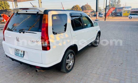 Comprar Usado Honda CR-V Branco Carro em Beira em Sofala Comprar Usado Honda CR-V Branco Carro em Beira em Sofala