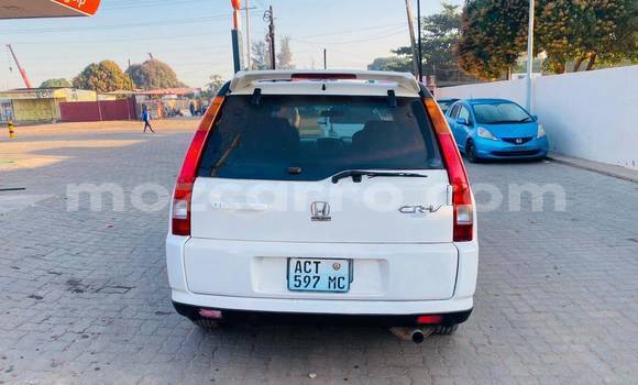 Comprar Usado Honda CR-V Branco Carro em Beira em Sofala Comprar Usado Honda CR-V Branco Carro em Beira em Sofala