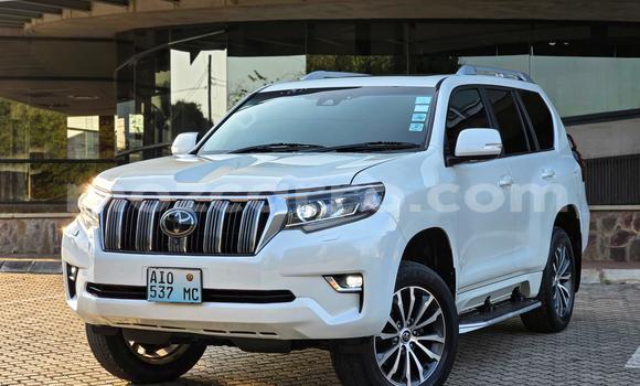Buy Used Toyota Land Cruiser Prado White Car in Maputo in Maputo