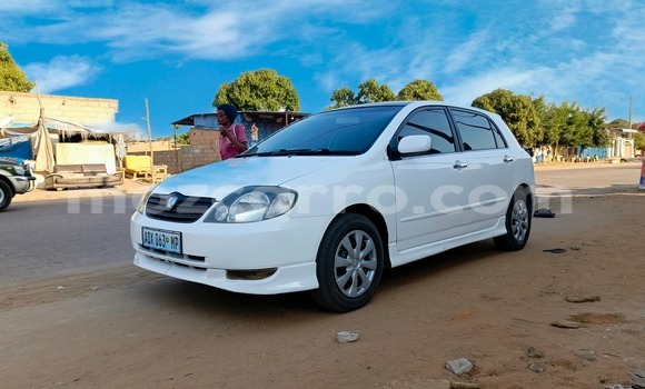 Buy Used Toyota Allex White Car in Maputo in Maputo