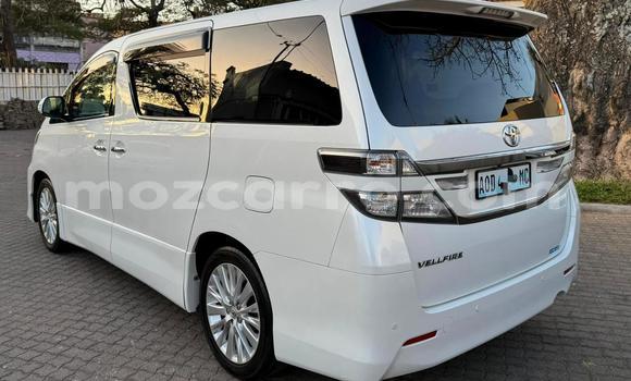 Tenga Itsva Toyota Vellfire Chena Mota in Maputo in Maputo Tenga Itsva Toyota Vellfire Chena Mota in Maputo in Maputo