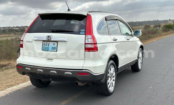 Nunua Ilio tumika Honda CR-V Nyeupe Gari ndani ya Maputo nchini Maputo Nunua Ilio tumika Honda CR-V Nyeupe Gari ndani ya Maputo nchini Maputo
