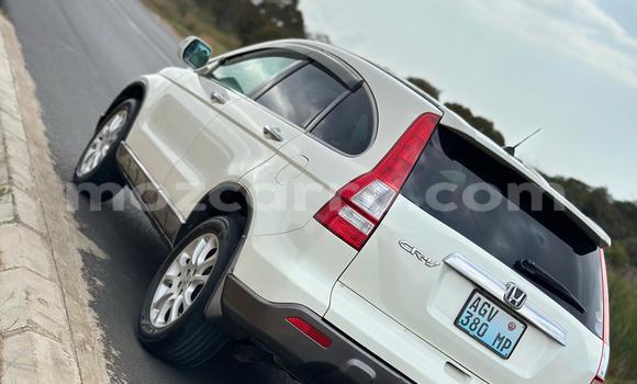 Nunua Ilio tumika Honda CR-V Nyeupe Gari ndani ya Maputo nchini Maputo Nunua Ilio tumika Honda CR-V Nyeupe Gari ndani ya Maputo nchini Maputo