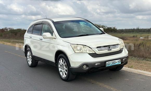 Nunua Ilio tumika Honda CR-V Nyeupe Gari ndani ya Maputo nchini Maputo Nunua Ilio tumika Honda CR-V Nyeupe Gari ndani ya Maputo nchini Maputo