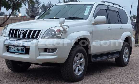 Comprar Usado Toyota Land Cruiser Prado Branco Carro em Maputo em Maputo