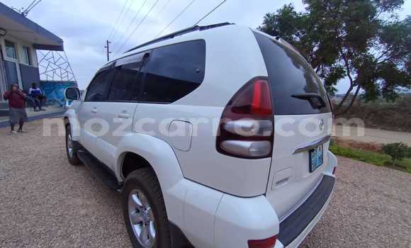 Tenga Tsaru Toyota Land Cruiser Prado Chena Mota in Maputo in Maputo Tenga Tsaru Toyota Land Cruiser Prado Chena Mota in Maputo in Maputo