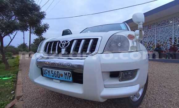 Tenga Tsaru Toyota Land Cruiser Prado Chena Mota in Maputo in Maputo Tenga Tsaru Toyota Land Cruiser Prado Chena Mota in Maputo in Maputo