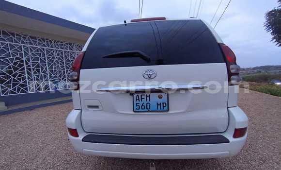 Tenga Tsaru Toyota Land Cruiser Prado Chena Mota in Maputo in Maputo Tenga Tsaru Toyota Land Cruiser Prado Chena Mota in Maputo in Maputo