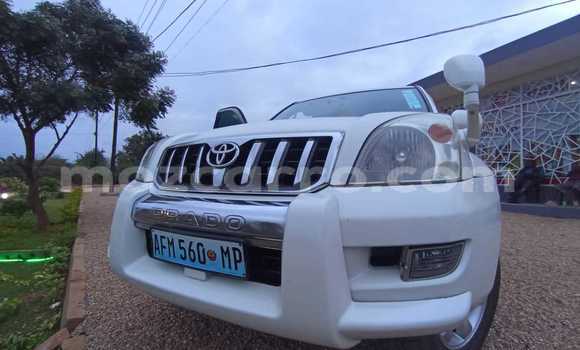 Tenga Tsaru Toyota Land Cruiser Prado Chena Mota in Maputo in Maputo Tenga Tsaru Toyota Land Cruiser Prado Chena Mota in Maputo in Maputo