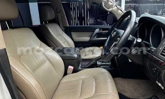 Tenga Tsaru Toyota Land Cruiser Chena Mota in Maputo in Maputo Tenga Tsaru Toyota Land Cruiser Chena Mota in Maputo in Maputo