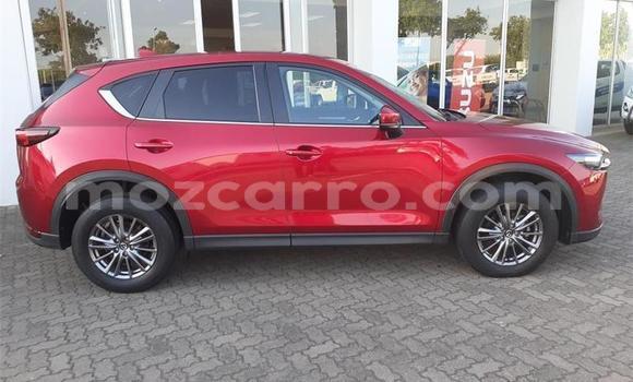 Tenga Tsaru Mazda CX-5 Tsvuku Mota in Gilé in Zambezia Tenga Tsaru Mazda CX-5 Tsvuku Mota in Gilé in Zambezia