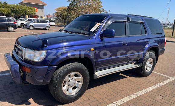 Tenga Tsaru Toyota Hilux Surf Bhuruu Mota in Maputo in Maputo Tenga Tsaru Toyota Hilux Surf Bhuruu Mota in Maputo in Maputo