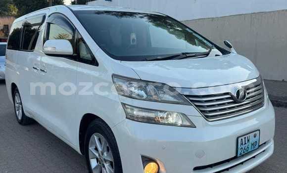 Comprar Novo Toyota Vellfire Branco Carro em Maputo em Maputo
