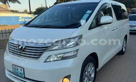 Tenga Itsva Toyota Vellfire Chena Mota in Maputo in Maputo Tenga Itsva Toyota Vellfire Chena Mota in Maputo in Maputo