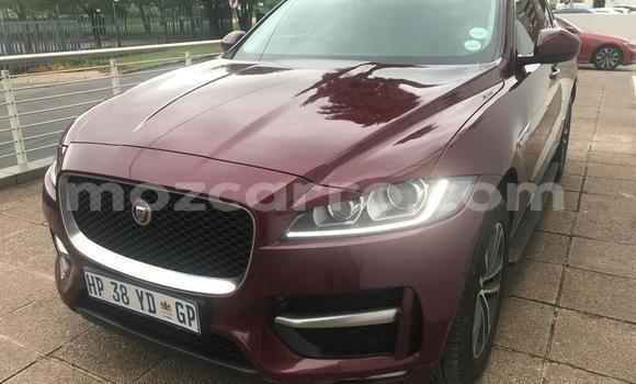 Comprar Usado Jaguar F-Pace Vermelho Carro em Maputo em Maputo