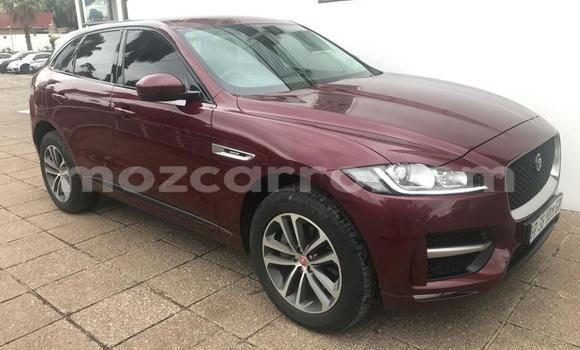Tenga Tsaru Jaguar F-Pace Tsvuku Mota in Maputo in Maputo Tenga Tsaru Jaguar F-Pace Tsvuku Mota in Maputo in Maputo