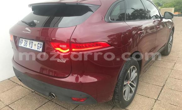 Tenga Tsaru Jaguar F-Pace Tsvuku Mota in Maputo in Maputo Tenga Tsaru Jaguar F-Pace Tsvuku Mota in Maputo in Maputo