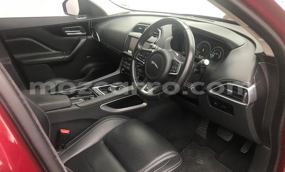 Tenga Tsaru Jaguar F-Pace Tsvuku Mota in Maputo in Maputo Tenga Tsaru Jaguar F-Pace Tsvuku Mota in Maputo in Maputo