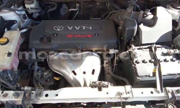 Buy Used Toyota Vanguard White Car in Maputo in Maputo Buy Used Toyota Vanguard White Car in Maputo in Maputo