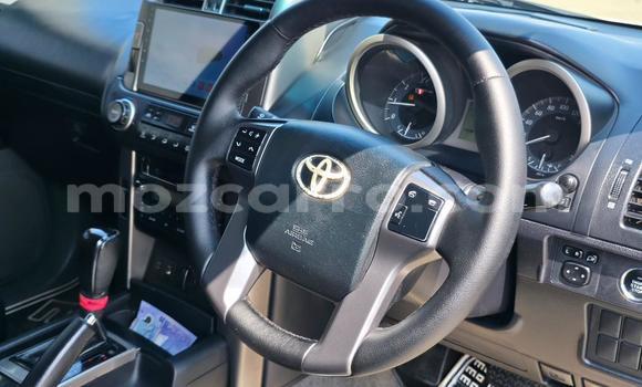 Tenga Tsaru Toyota Land Cruiser Prado Chena Mota in Maputo in Maputo Tenga Tsaru Toyota Land Cruiser Prado Chena Mota in Maputo in Maputo