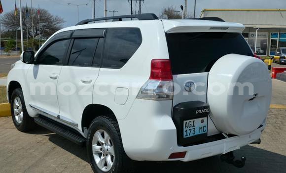 Tenga Tsaru Toyota Land Cruiser Prado Chena Mota in Maputo in Maputo Tenga Tsaru Toyota Land Cruiser Prado Chena Mota in Maputo in Maputo