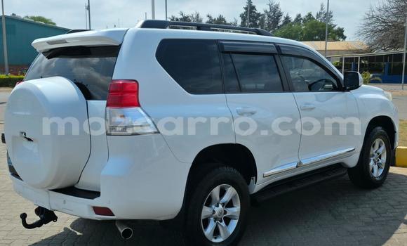 Tenga Tsaru Toyota Land Cruiser Prado Chena Mota in Maputo in Maputo Tenga Tsaru Toyota Land Cruiser Prado Chena Mota in Maputo in Maputo