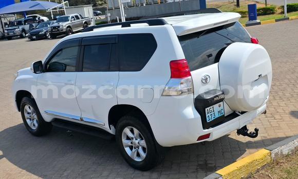Tenga Tsaru Toyota Land Cruiser Prado Chena Mota in Maputo in Maputo Tenga Tsaru Toyota Land Cruiser Prado Chena Mota in Maputo in Maputo